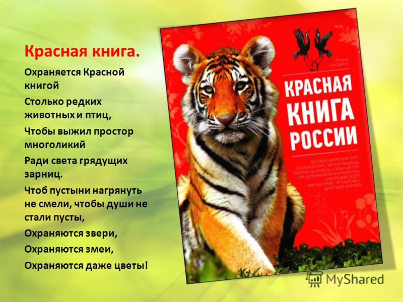 Животные красной книги скачать бесплатно фото