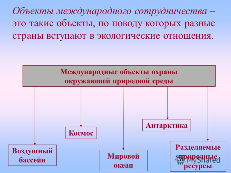 Реферат: Международные природоохранные организации и их роль в современном мире