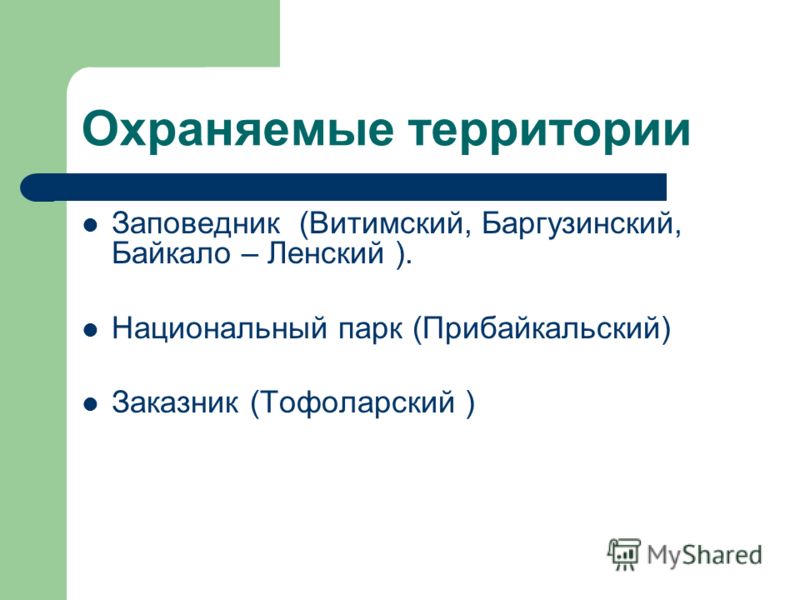 Байкальская Нерпа Презентация