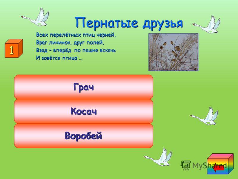 как излечиться от паразитов в организме как излечиться от паразитов в организме