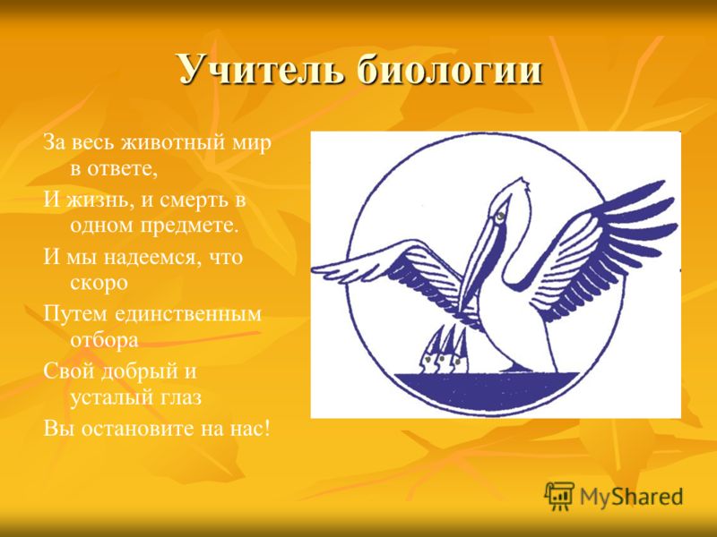 песни учителю математики на последний звонок песни учителю математики на последний звонок