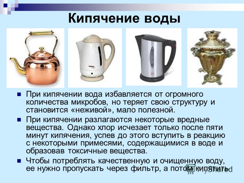 Почему кипяченую воду нельзя разбавлять сырой Почему кипяченую воду нельзя разбавлять сырой