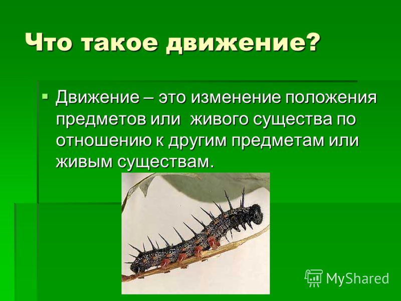 Проект на тему движение первых Движение 6 класс презентация