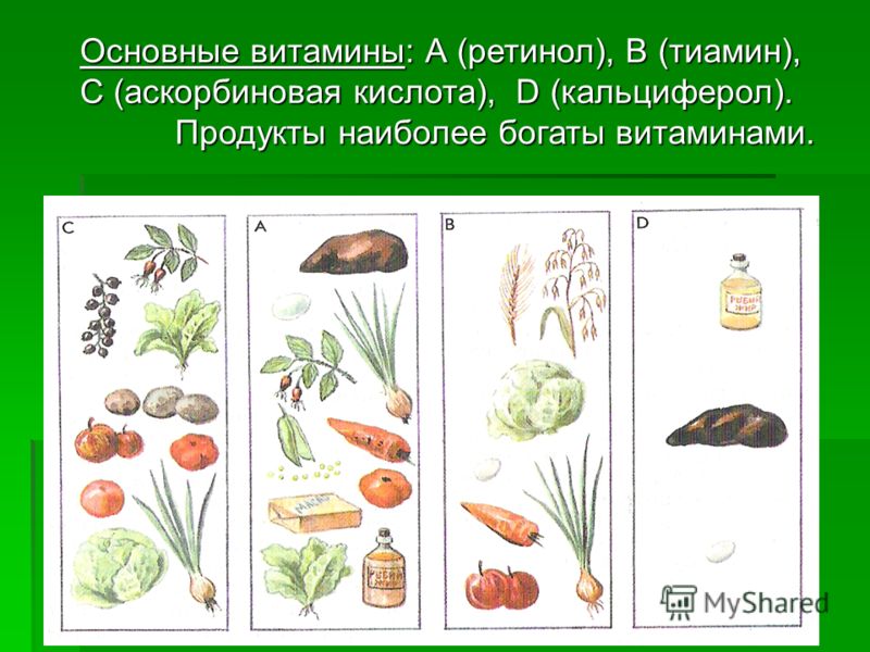 Как сохранить витамины в продуктах Как сохранить витамины в продуктах