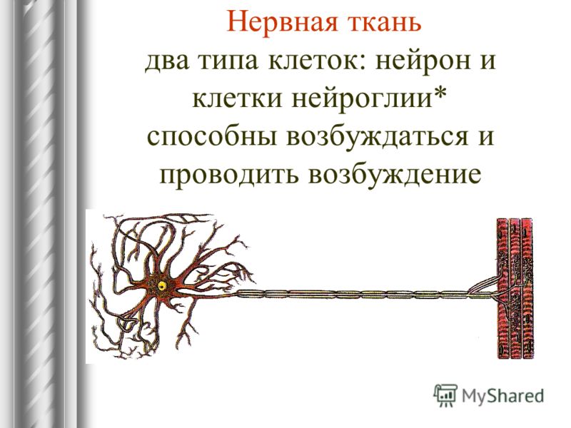 проникать