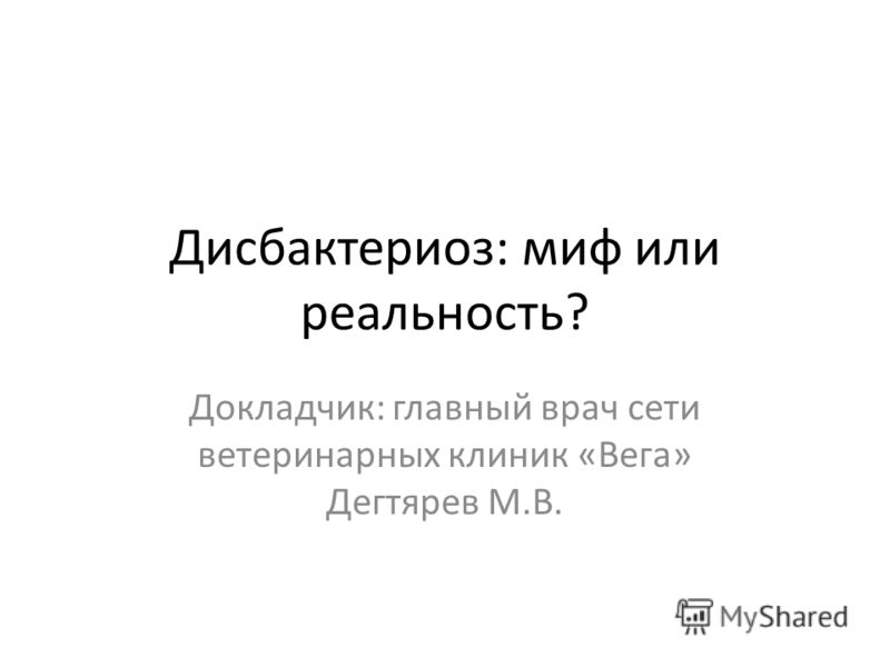 Lyrics Lyrics