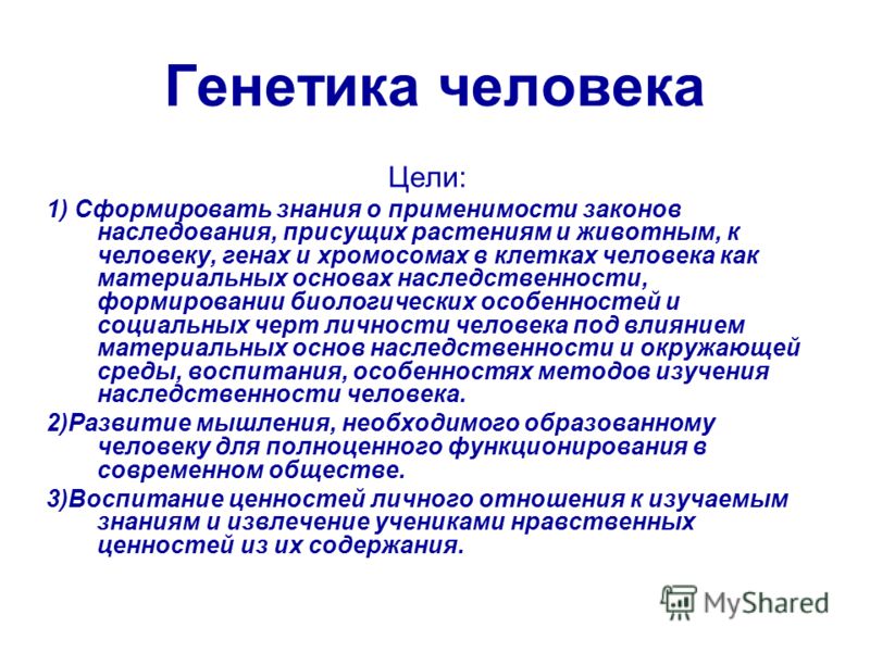 Реферат: Активность клетки и понятие генетики