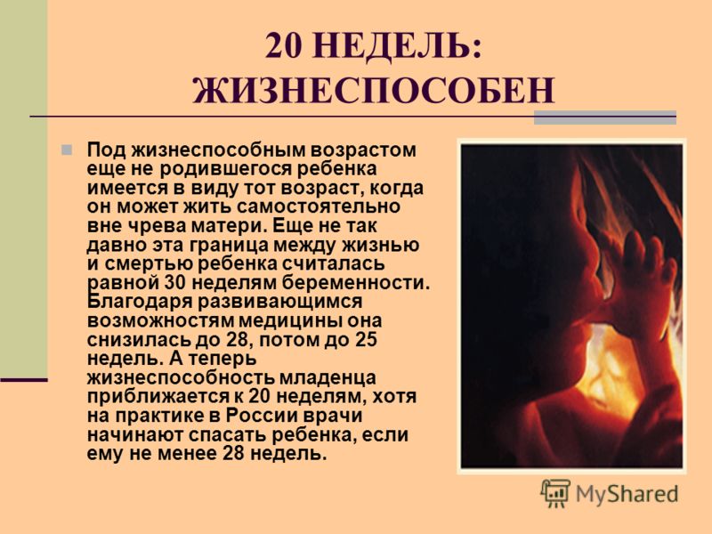 С какой недели беременности ребенок жизнеспособен