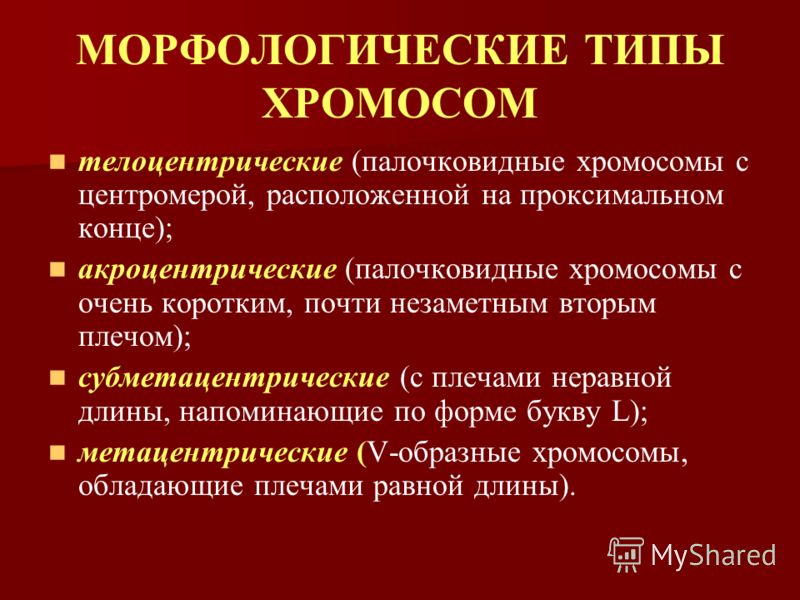 Презентация на тему: "НЕМЕМБРАН НЫЕ МЕМБРАННЫЕ Одномембран ные Двумембранные пла