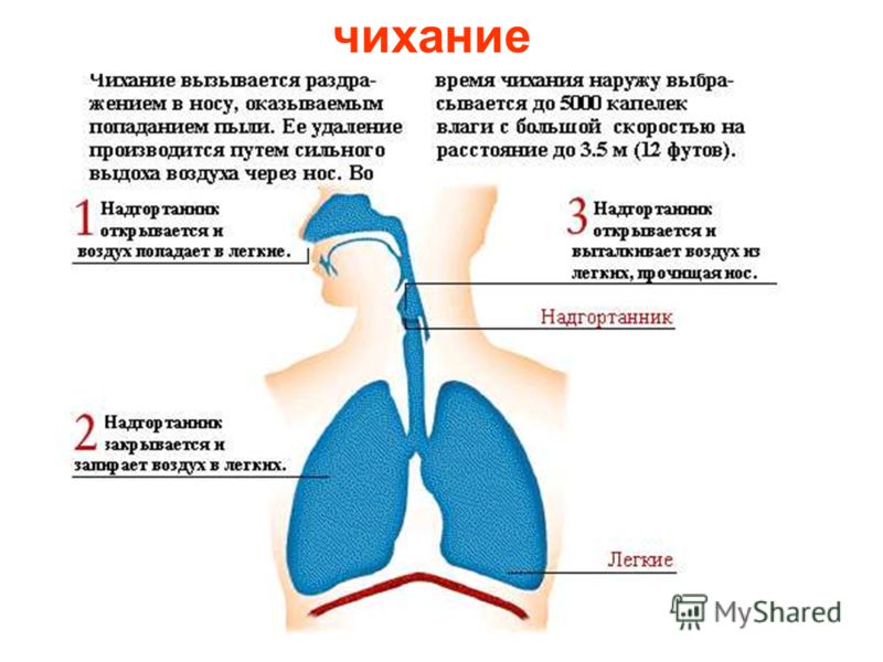 У ребенка кашель чихание и кашель как лечить У ребенка кашель чихание и кашель как лечить