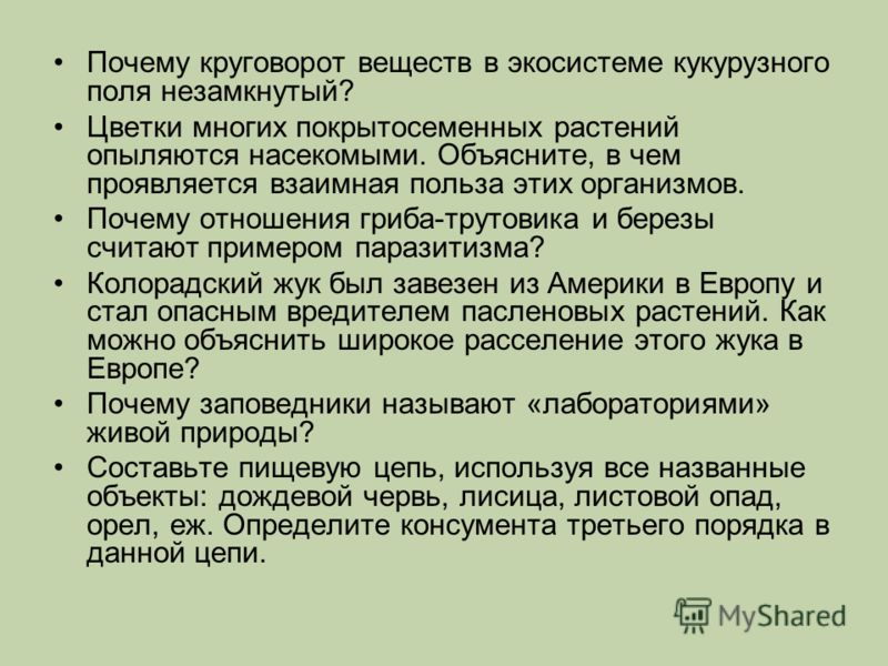 Почему сов в экосистеме леса относят Почему сов в экосистеме леса относят