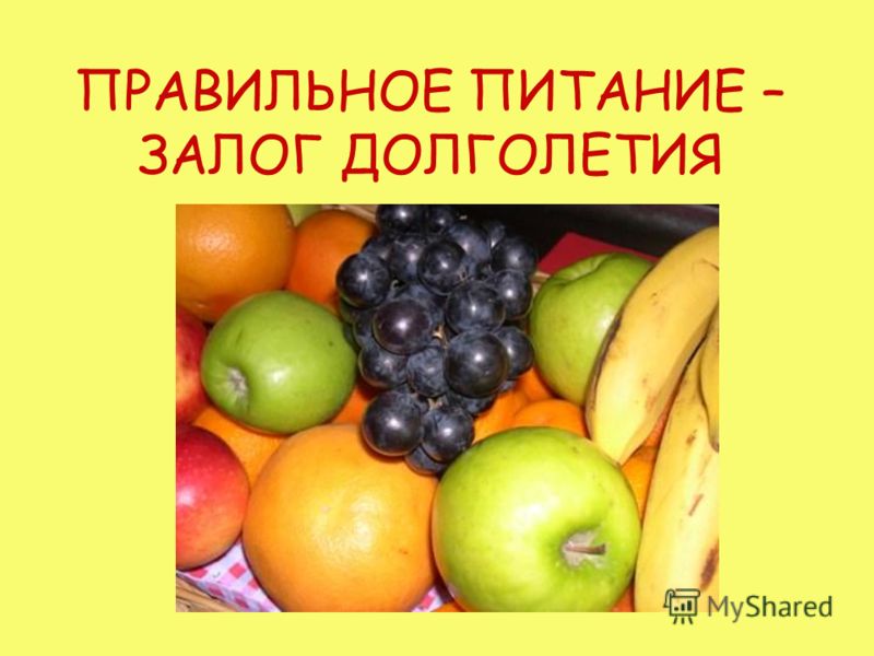 правильное 5 разовое питание для похудения правильное 5 разовое питание для похудения