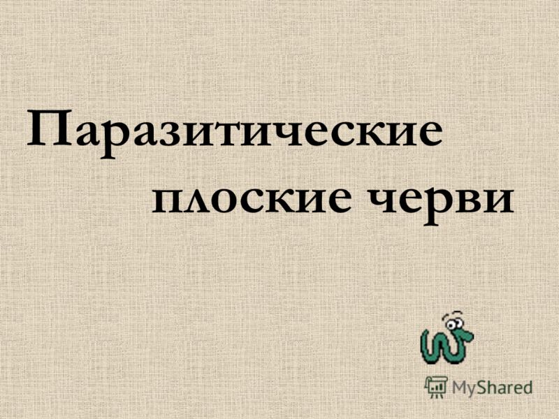 презентация черви паразиты человека презентация черви паразиты человека