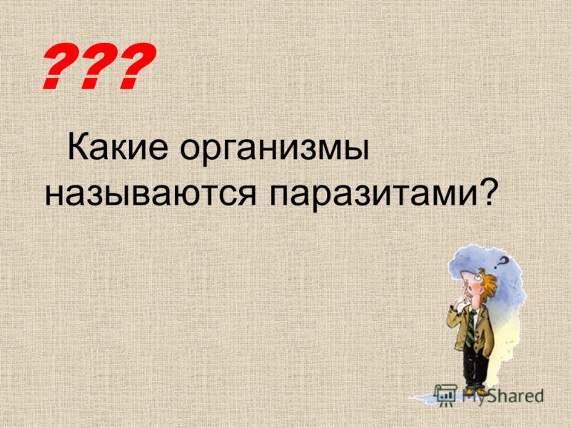 какие организмы называются паразитами какие организмы называются паразитами