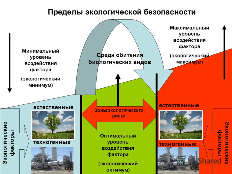 Контрольная работа по теме Экологическая безопасность и экологические риски