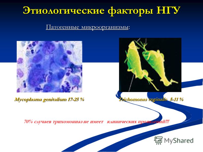 вирусы при оральном сексе вирусы при оральном сексе