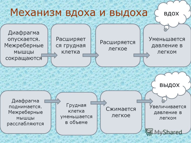 Техника вязания цветов спицами Техника вязания цветов спицами