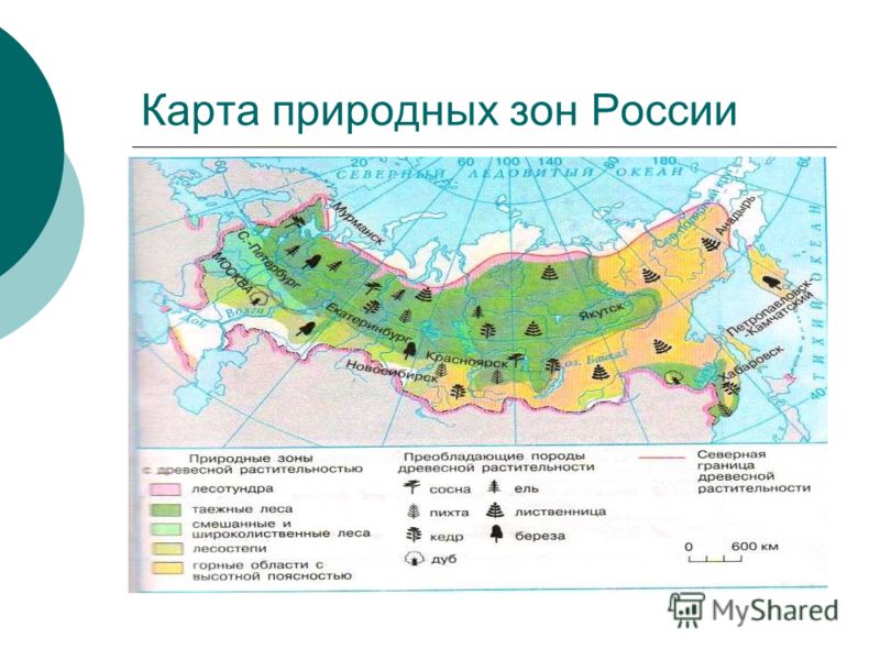 Презентация по географии 8 класса природные зоны россии