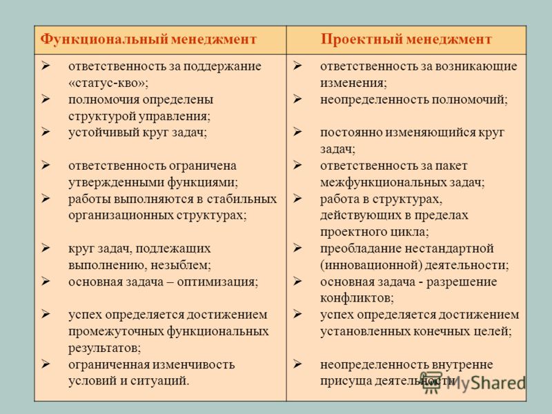 Лицо осуществляющее управление проектом и ответственное за результаты проекта