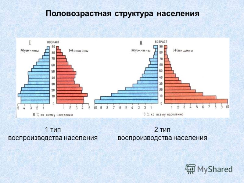 Реферат: Возрастная структура и воспроизводство населения