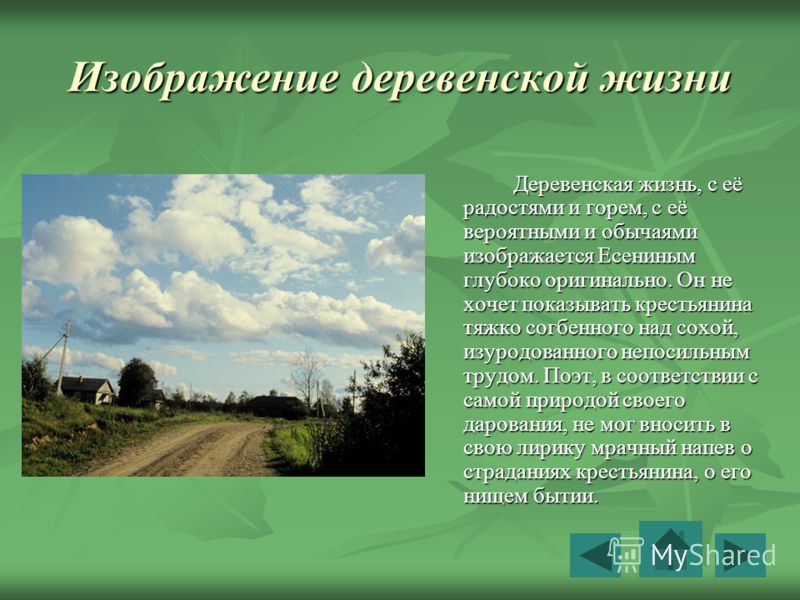 Все слова связанные с деревней Все слова связанные с деревней