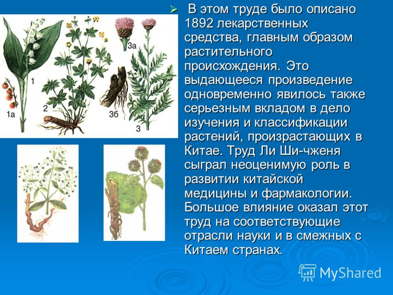 В этом труде было описано 1892 лекарственных средства, главным образом растительного происхождения. Это выдающееся произведение одновременно явилось также серьезным вкладом в дело изучения и классификации растений, произрастающих в Китае. Труд Ли Ши-