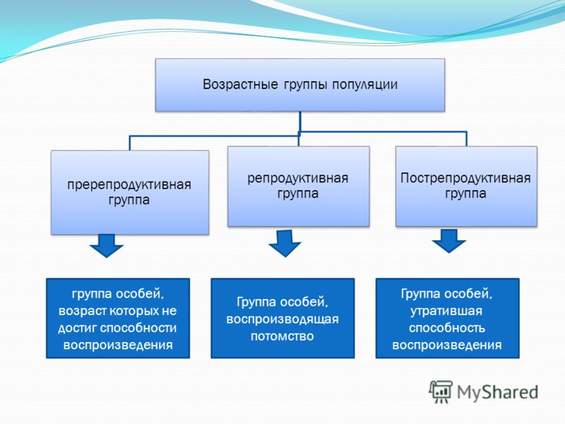 Межвидовые и внутривидовые биотические факторы