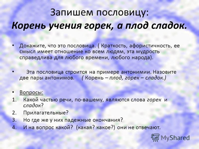Пословицы корень учения горек да плод Пословицы корень учения горек да плод