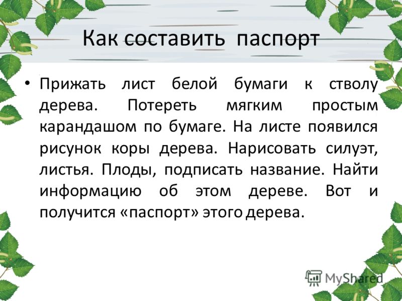 Паспорт дерева 2 класс - Basanova.ru