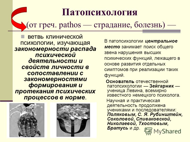 Общая психопатология презентация