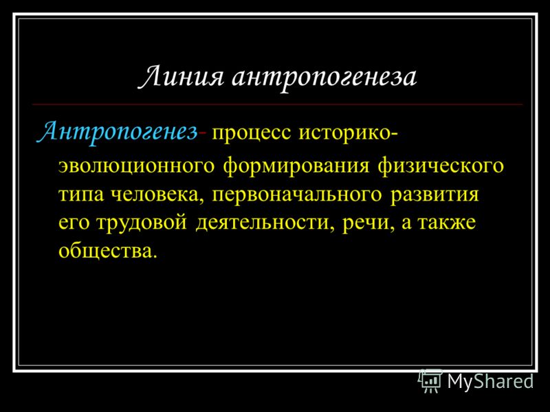 Реферат: Эволюция первобытного общества Реферат: Эволюция первобытного общества