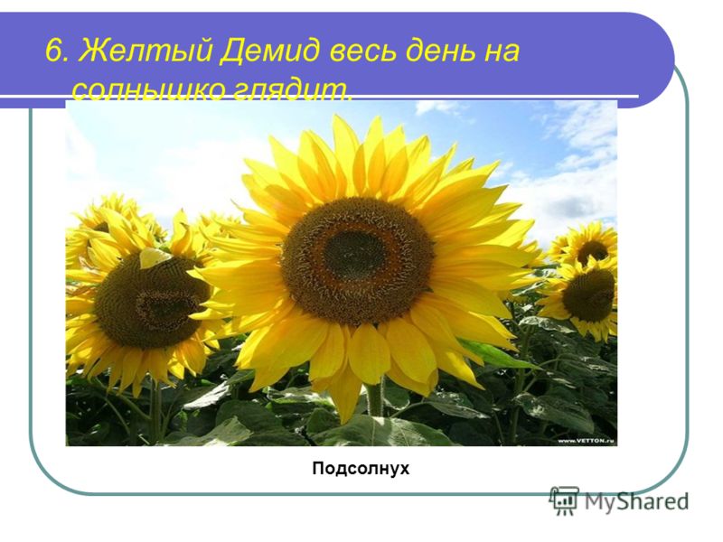 2019 год - Отдых в Хорватии в 2019 году 2019 год - Отдых в Хорватии в 2019 году: новые цены на отели, экскурсии, аренду яхты