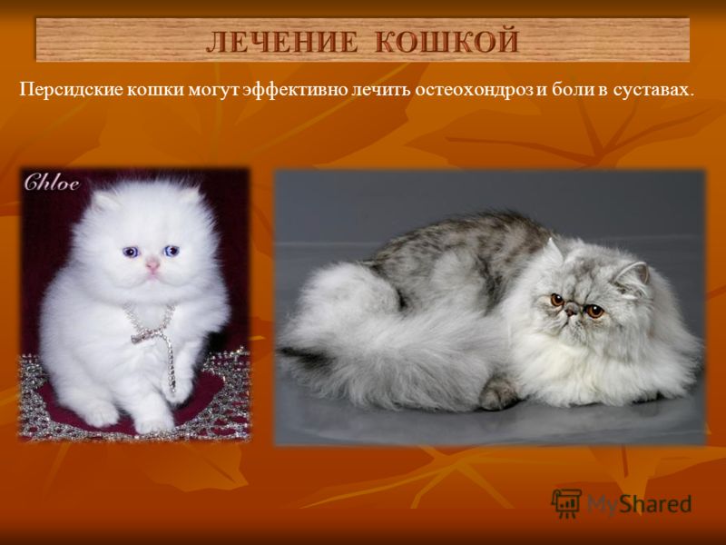 Может ли от уха болеть кожа головы