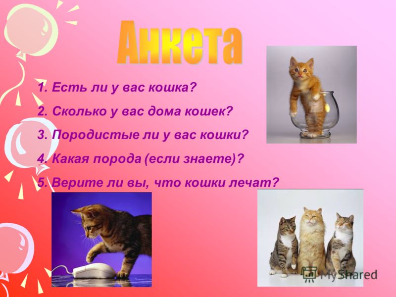 Лечение народными средствами полипов матки