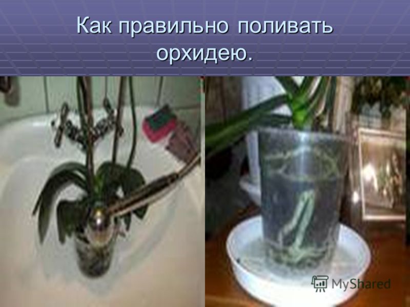 Как сшить блузку с качелями Как сшить блузку с качелями