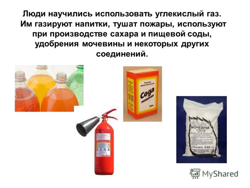 Что можно приготовить из капусты в зиму