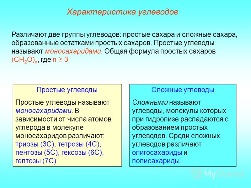 назовите функции углеводов назовите функции углеводов