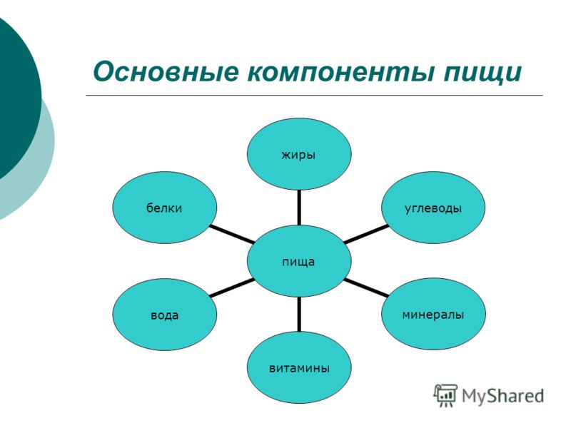 Кластер На Тему Диета