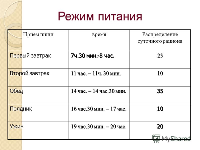 Диета 16 8 Расписание Для Мужчин