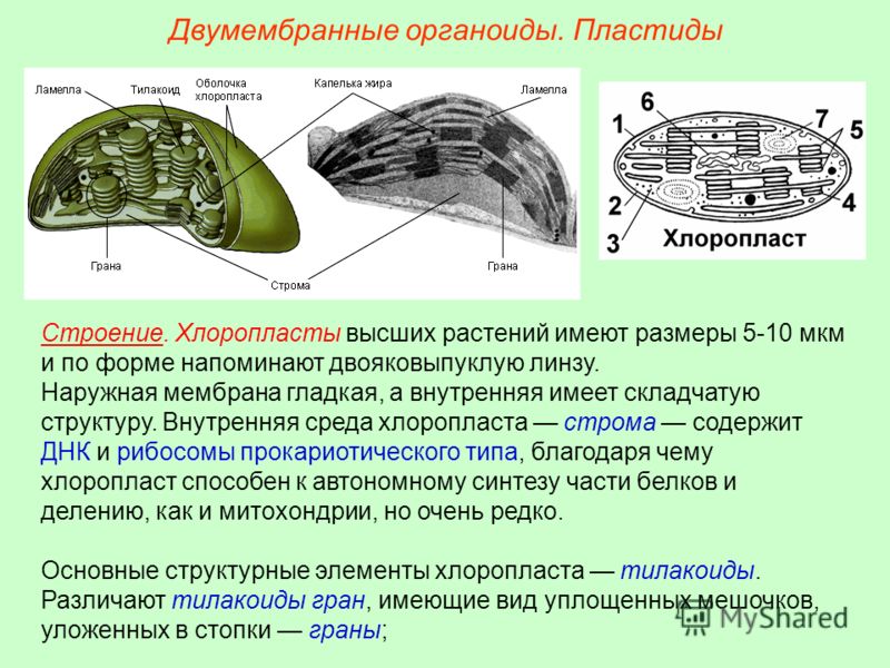Как ускорить работу в маникюре Как ускорить работу в маникюре