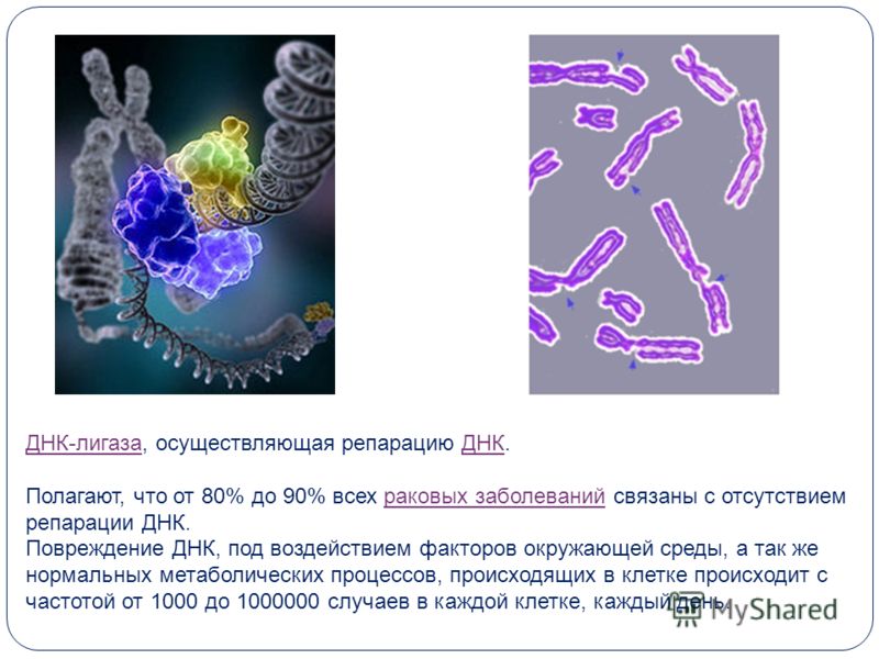 Мультатор. Нарисовать мультфильм. Анимация онлайн Методическая разработка по конструированию, ручному труду по теме