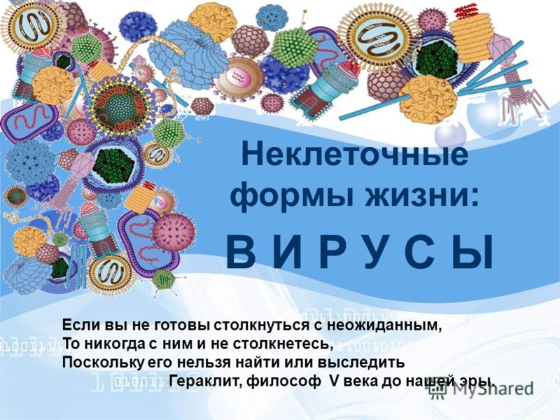Скачать Бесплатно Вирус Фото Скачать Бесплатно Вирус Фото