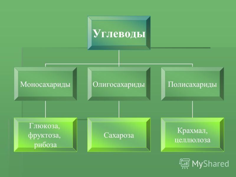 Реферат На Тему Сахароза Крохмаль Целюлоза