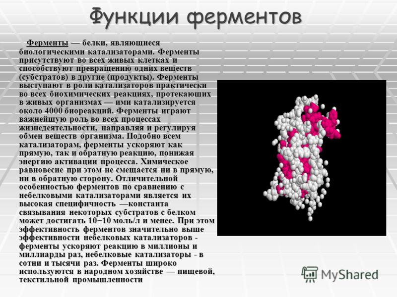 Презентация на тему: "Содержание 1.Введение 1.Введение 2.История изучения 2.Исто