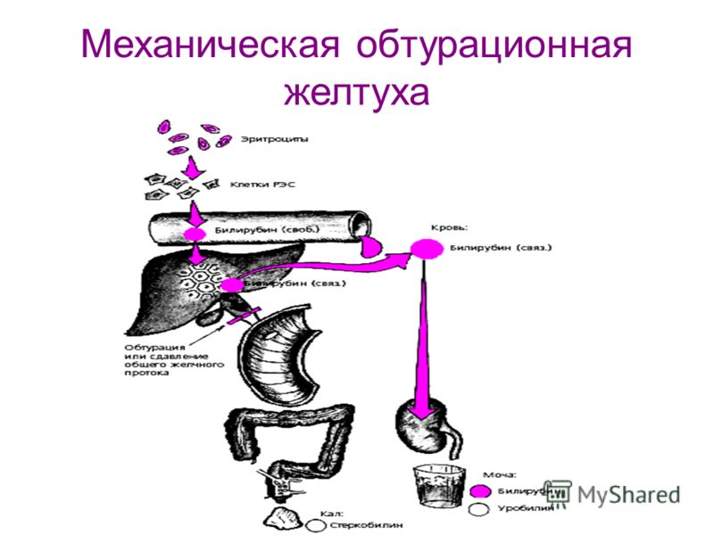 Препорат при гепатите с