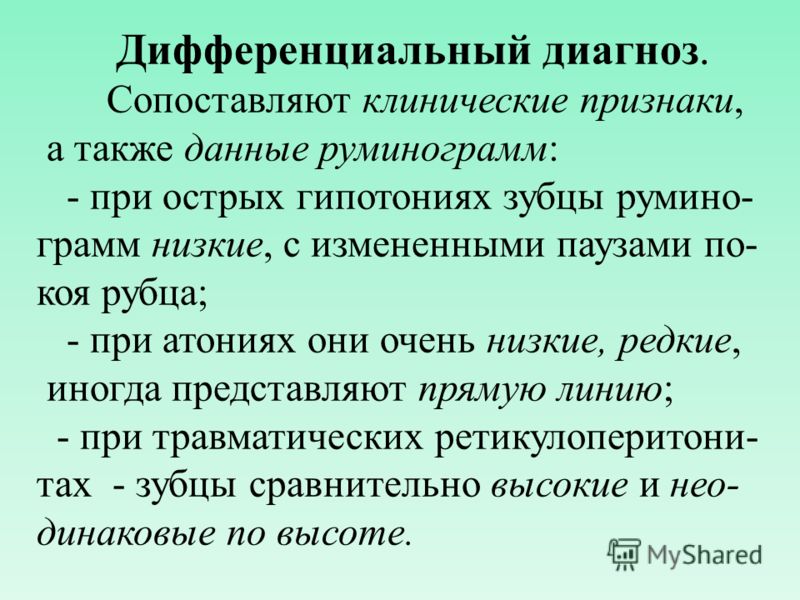 Массаж рубца у коровы Массаж рубца у коровы