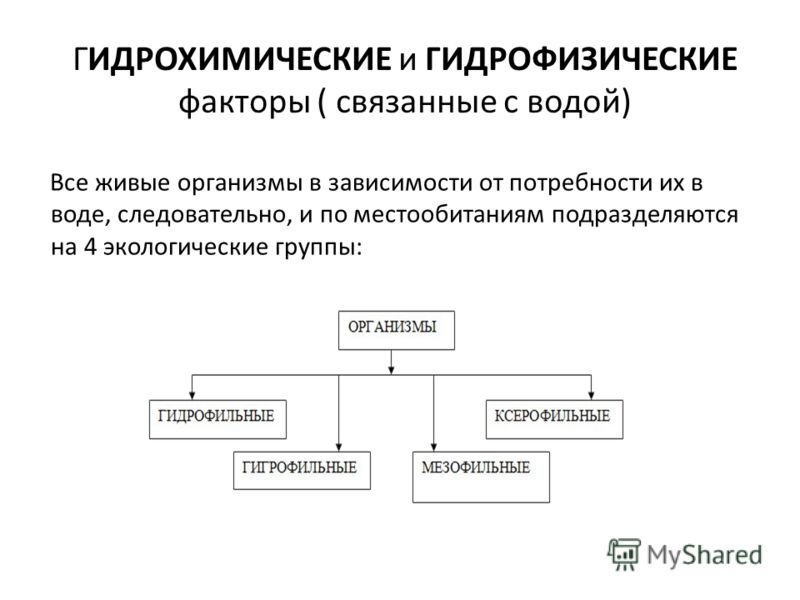 С чем связана потребность живых организмов С чем связана потребность живых организмов