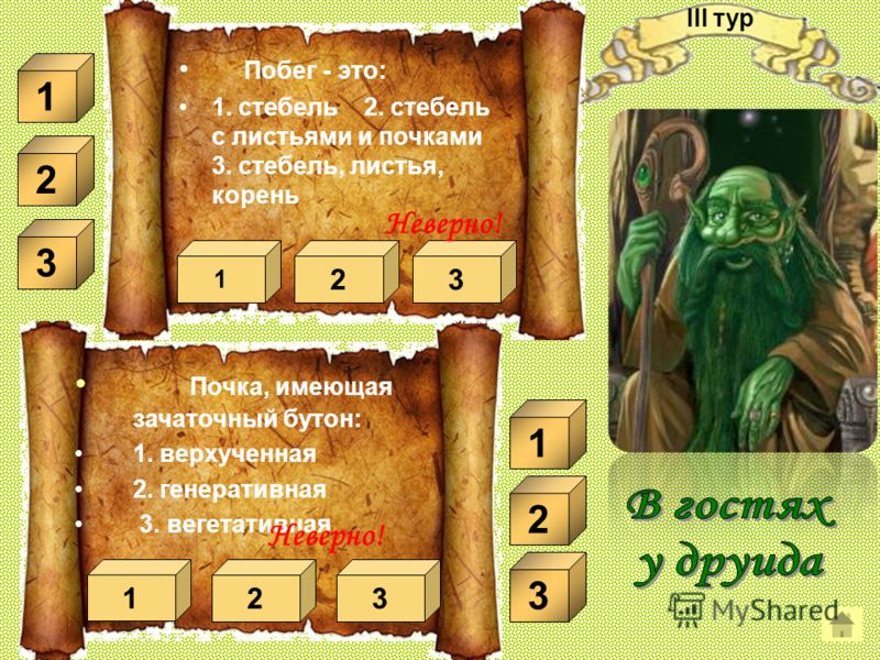 Арбуз мужской и женский цветок Арбуз мужской и женский цветок