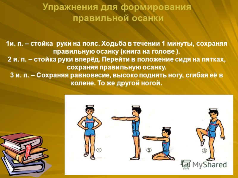 пояс от жира на животе пояс от жира на животе
