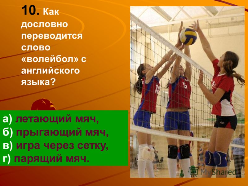 Интересные факты о волейболе кратко